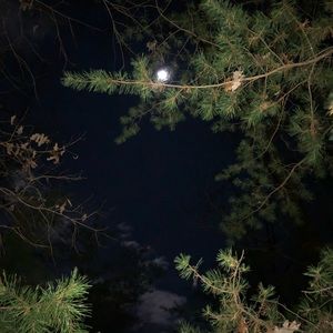 Meet your Posher, Kai